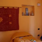 L'arabo E Il Normanno Palermo